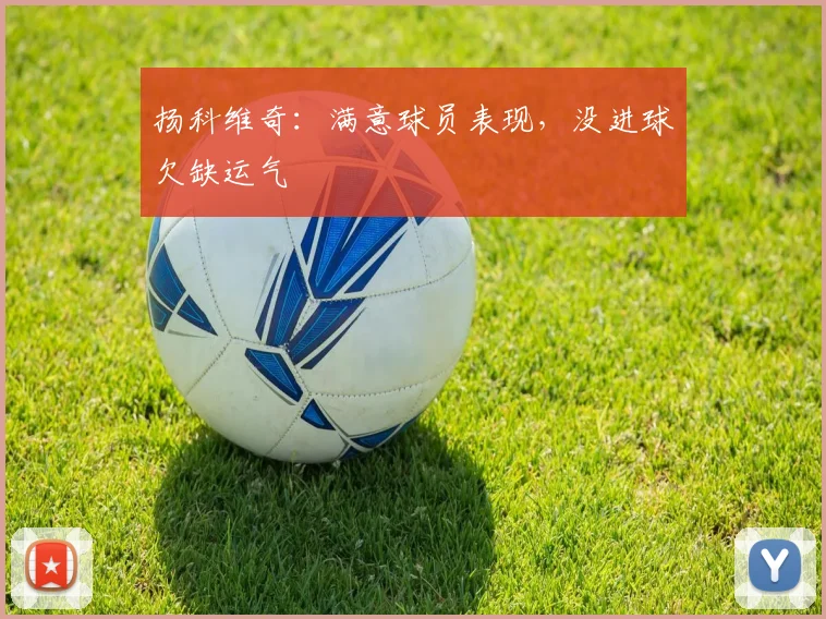 扬科维奇：满意球员表现，没进球欠缺运气