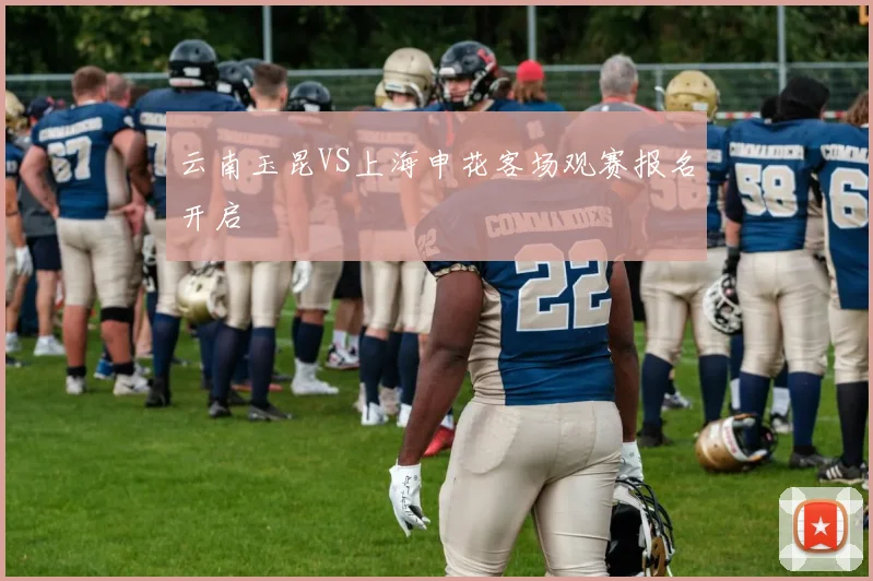 云南玉昆VS上海申花客场观赛报名开启