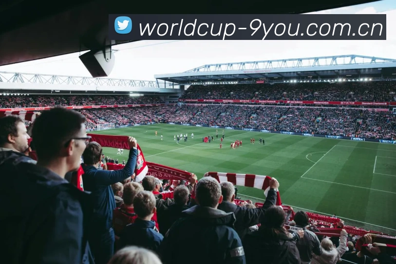 多媒体互动体验